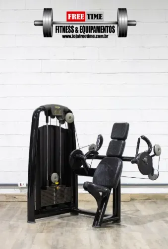 Triceps máquina Technogym usado