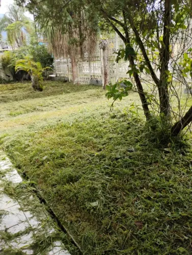 Limpeza de Terreno