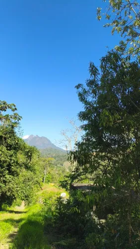 Terreno em Albuquerque!