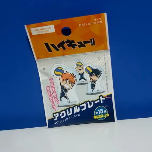 Haikyuu - PERSONAGEM DE ACRÍLICO (Pacote Misterioso)