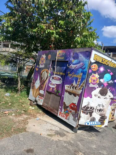 Vendo treiler de 3 x 3m