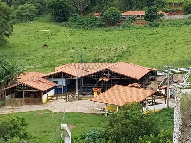Fazenda para criação de gado toda estruturada