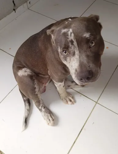 Pit monster
