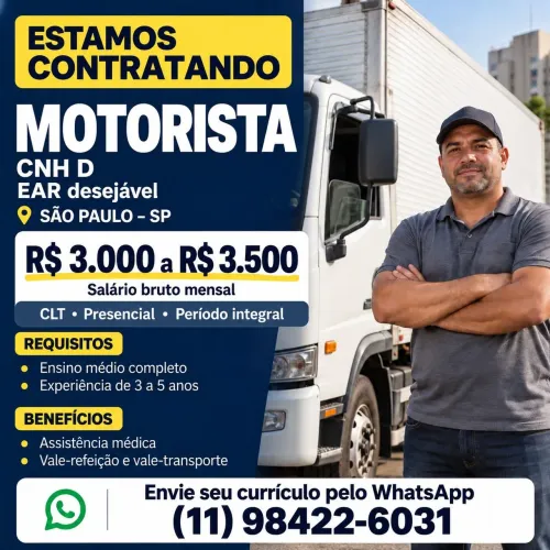 Motorista categoria D