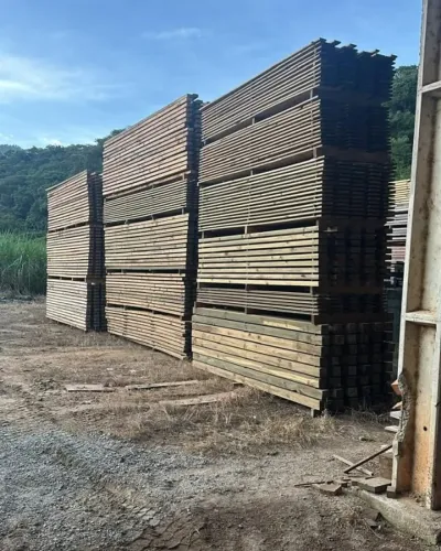 Madeira Pinus comum e Tratado em autoclave eucalipto quadrado roliço e Cambara