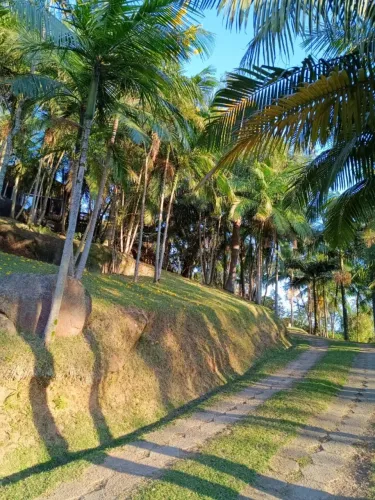 SÍTIO EXCLUSIVO EM URUSSANGA - 3 HECTARES