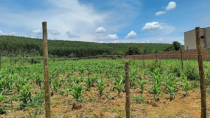 Vende-se chácara localizada no revés do Belém
