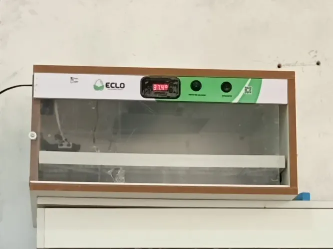 Chocadeira- automática.rolagem automática