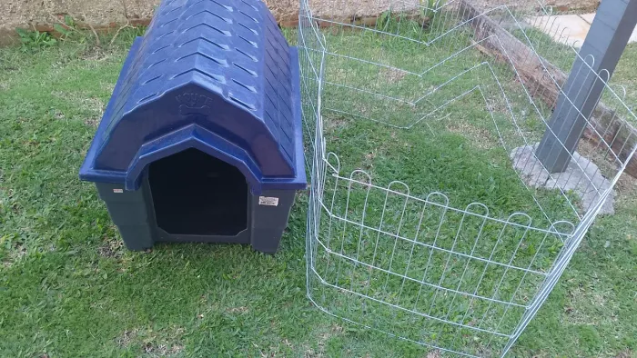 Casinha de cachorro 