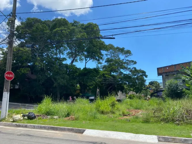 Terreno de Esquina - Jardim Vitória 385,50 M2