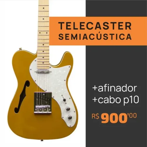 Guitarra Telecaster Semi-Acústica Waldman