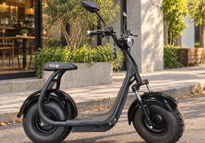 GoO Scooter X7- 1000w- 290KM!!