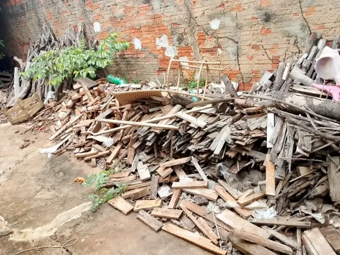 Madeiras tarugos para lenha para queimar ?