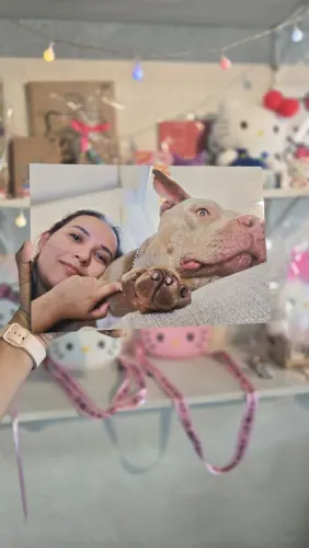 Quadros personalizados com fotos loja Fanático