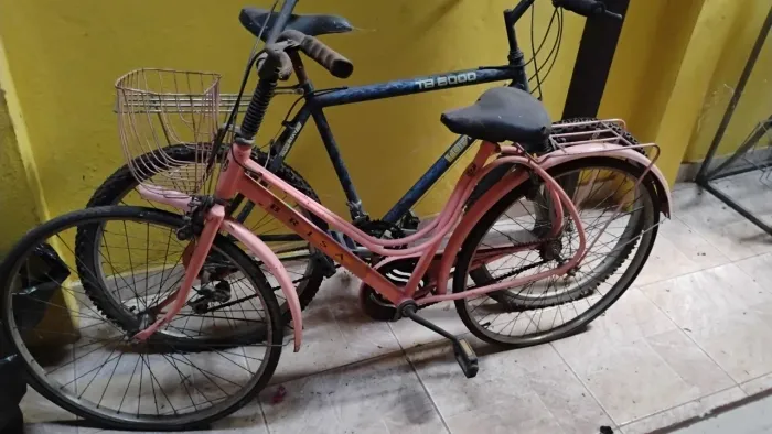 Monark Vintage
