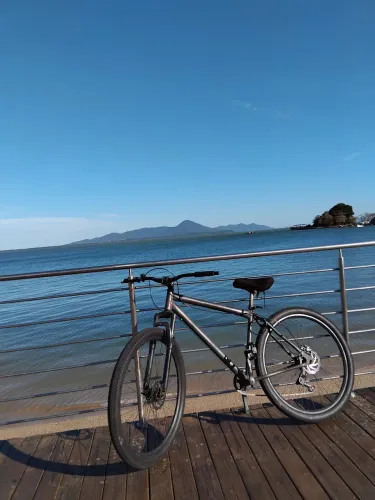MTB ARO 29 - PRONTA PRA RODAR VENDO & TROCO!