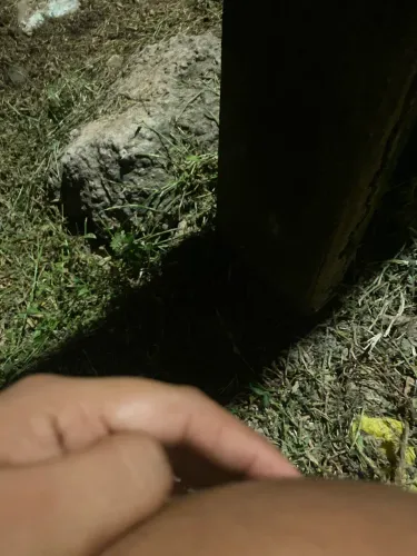 Procura casa pra alugar na cidade operária ou maiobinha
