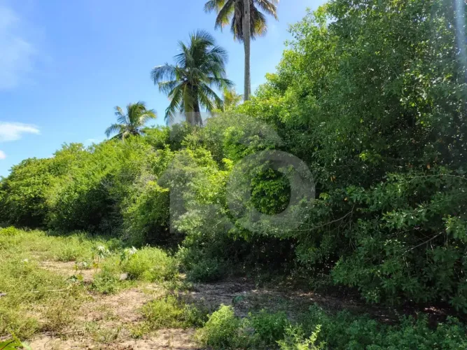 Terreno de 2.925m² no Bairro Mosqueiro - Aracaju/SE