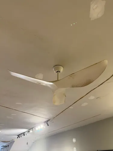 Ventilador de teto