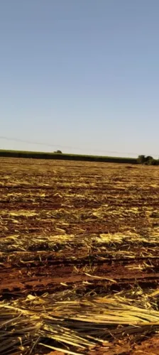 Fazenda 