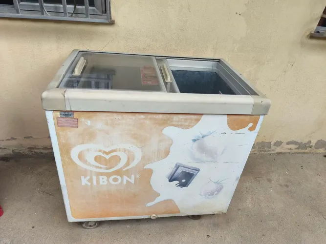 Freezer expositor 