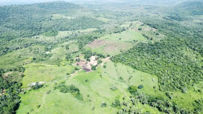 Fazenda á venda   de porteira fechada em Paraibano Maranhão, com 821 hectares  e 300 cabeç