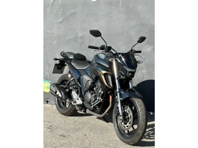 Yamaha Fz25 250 fazer flex 2024
