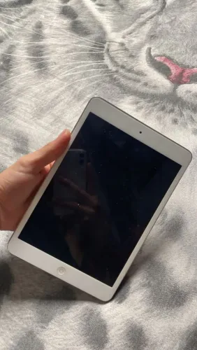 Ipad mini 2