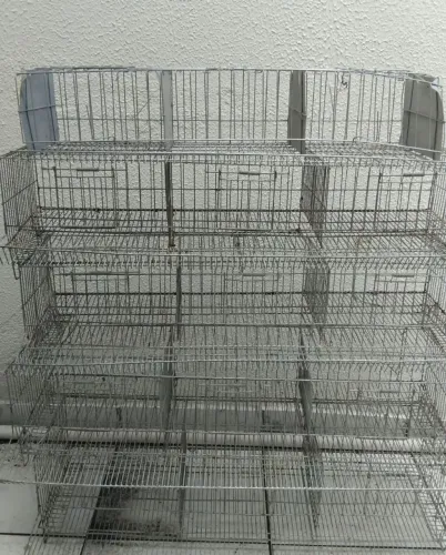 Gaiola para codorna