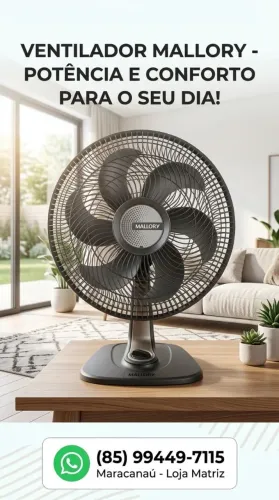 Ventilador de Mesa Mallory Turbo Fresh 40cm (6 Pás) - Perfeito Estado