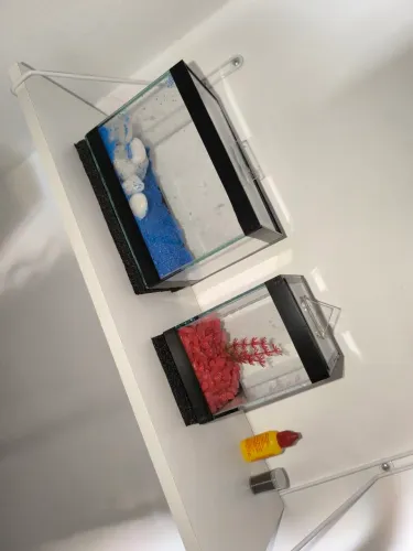 2 Aquários para peixe Beta + acessórios