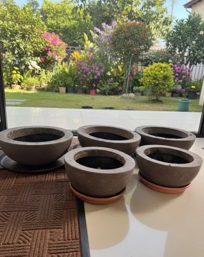 Conjunto de vasos para plantas