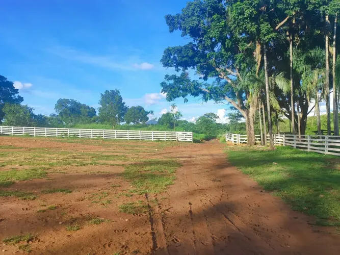 Imóvel para venda com 230 Alqueires 11132000 metros quadrados em Zona Rural - Jaú do Toca