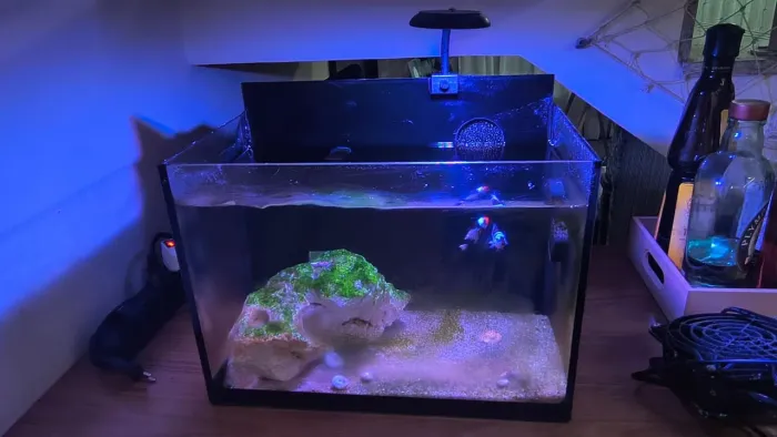Aquário marinho pronto para uso - sem animais