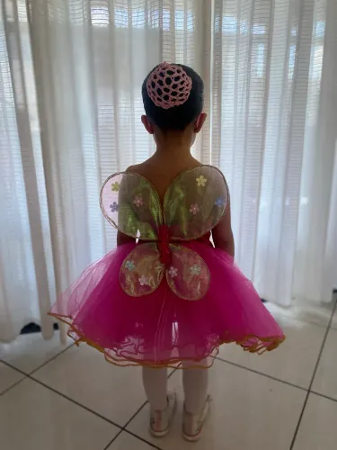 Vestido de Fantasia Borboleta