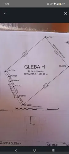Vende-se 8,5 hectares de terra em povoado de Pinheiro 
