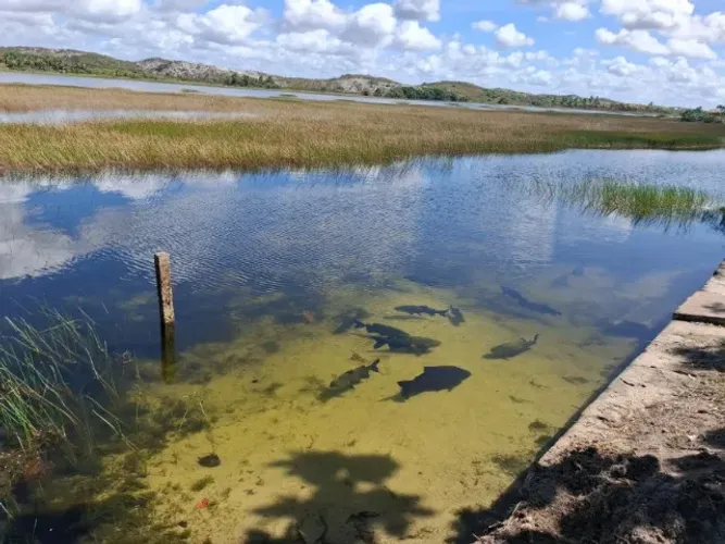 VENDO, TROCO OU ALUGO TERRENO COM QUIOSQUE NA PISTA DO ABAÍS - PARCELAMOS EM 60 MESES