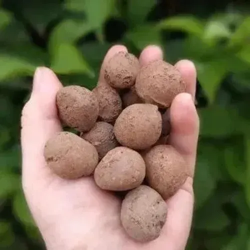 Argila Expandida 