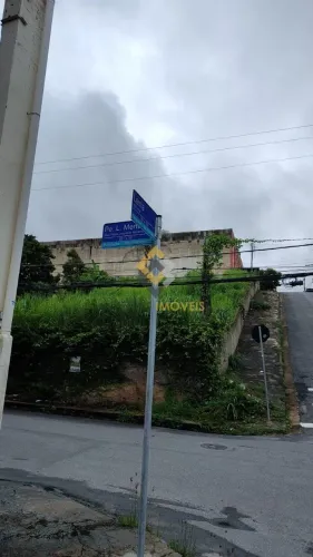 Lote - São Francisco
