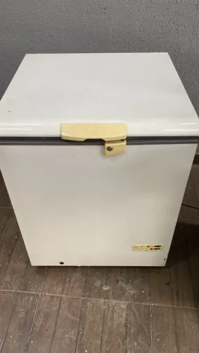 Frizer 110 v