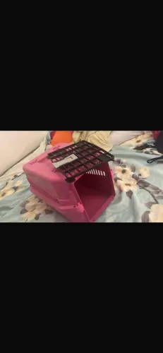 Transportadora