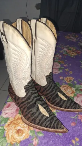Bota reizinho arraia tigrada