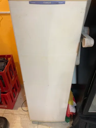 Freezer vertical