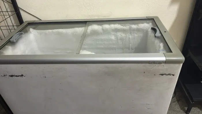 Freezer 220v