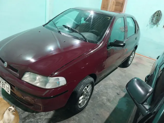 Palio 