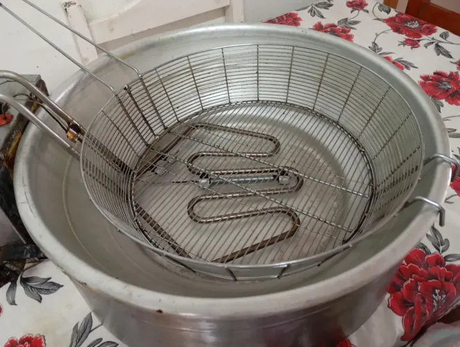 Vendo fritadeira elétrica 10L