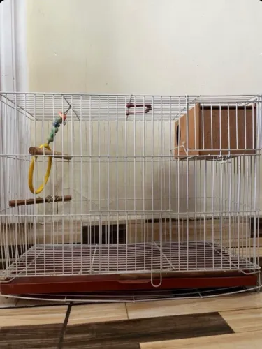 Gaiola 