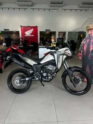 SAHARA 300 ADV 2024/2025