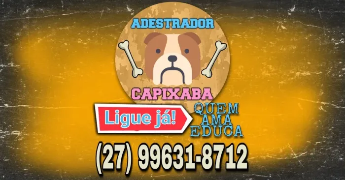 Adestramento de Cães