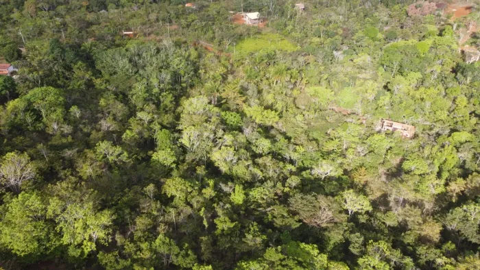 Lote no Km40 rodovia ilhéus Itacaré